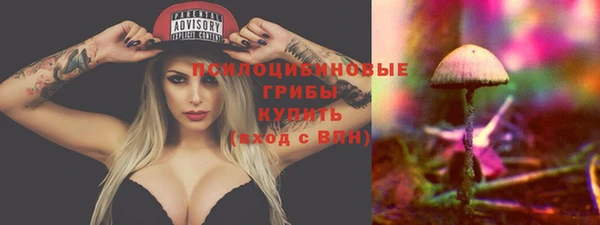 тгк Костерёво