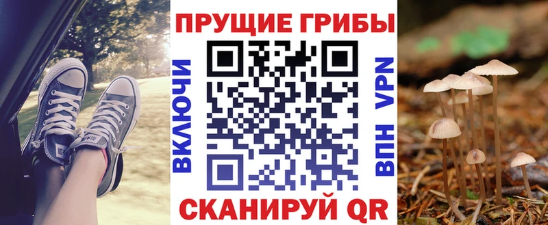 купить наркотик  Малгобек  Галлюциногенные грибы ЛСД 